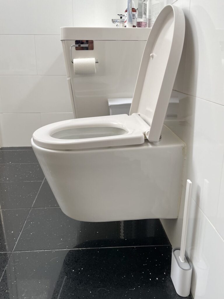 Blog bathroom aids part one 5 - Image in article: Bathroom Aids Part One