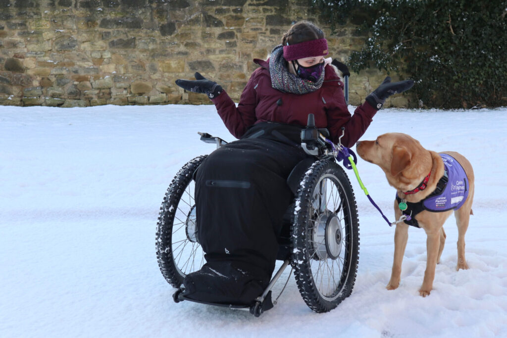Blog trekinetic introduction 16 - Image in article: Trekinetic Introduction