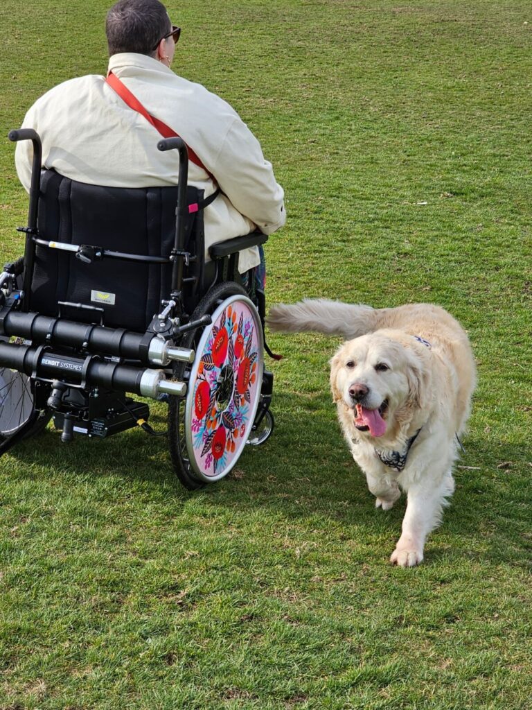 Photo of a person using a wheelchair with a 'Benoit Systemes Light Drive 2.1 Plus' power add on attached, while out on a walk through a grassy field with a large dog.