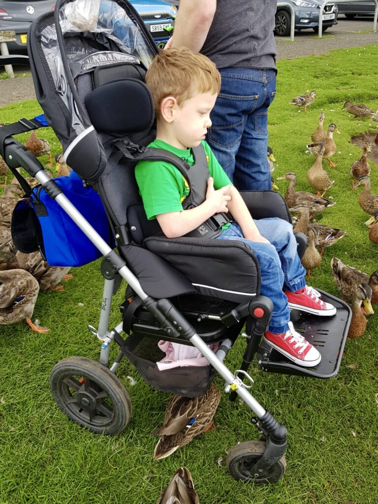 Photo of a young boy in an 'Ormesa Bug' foldable pushchair, surrounded by ducks.