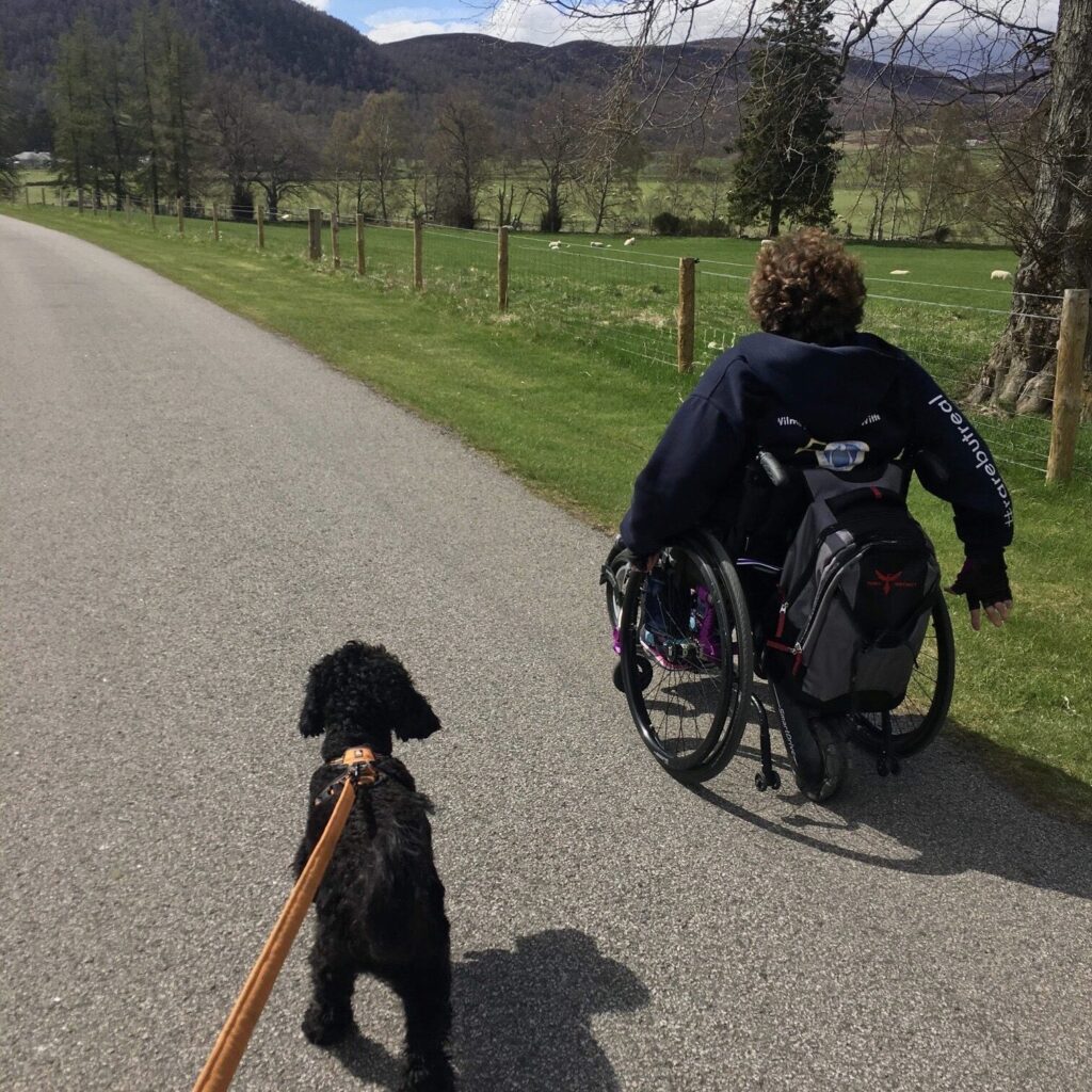 Photo of a person, with brown curly hair, using a self-propelling 'Tilite ZRA' titanium wheelchair on a countryside path. A large backpack is hung on the back of the wheelchair, below which a 'SmartDrive' power assist unit connected to the rear of the wheelchair can be seen. In the background a wire fence, fencing off a field in which a number of sheep, can be seen, while a small black dog on a leash walks just behind and to the left of the wheelchair user, in the foreground.